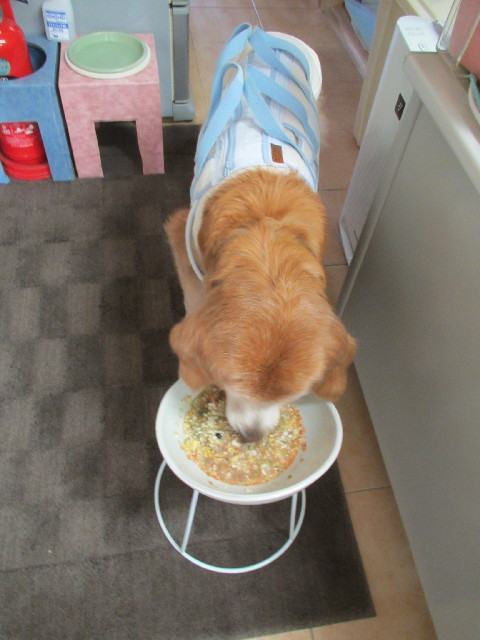 ファイル 2980-3.jpg