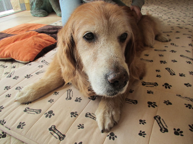 ファイル 2980-4.jpg