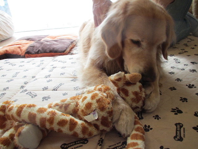 ファイル 2980-5.jpg