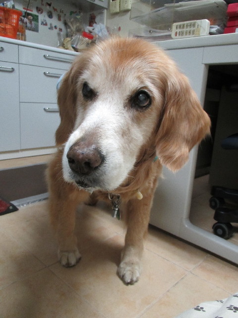 ファイル 2981-3.jpg