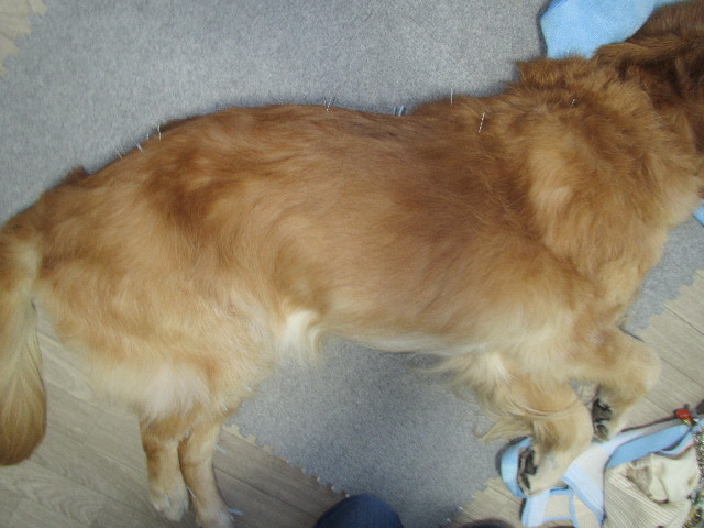 ファイル 2982-3.jpg