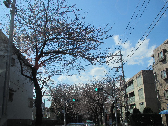 ファイル 2983-3.jpg