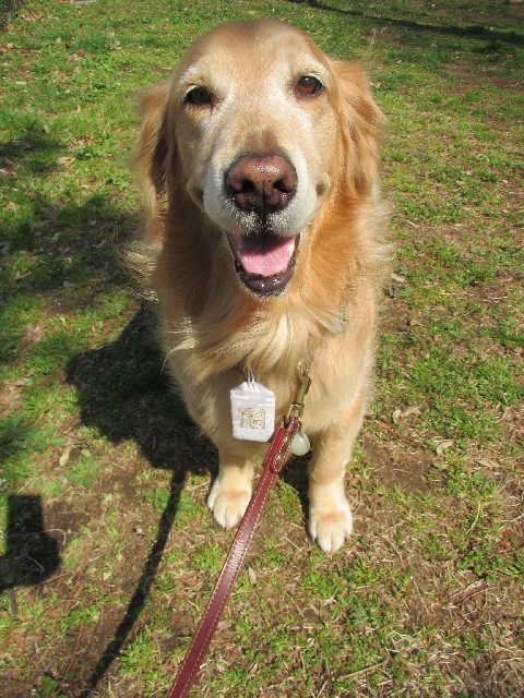 ファイル 2984-3.jpg