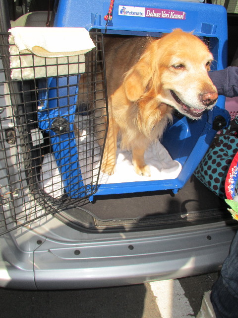 ファイル 2984-5.jpg