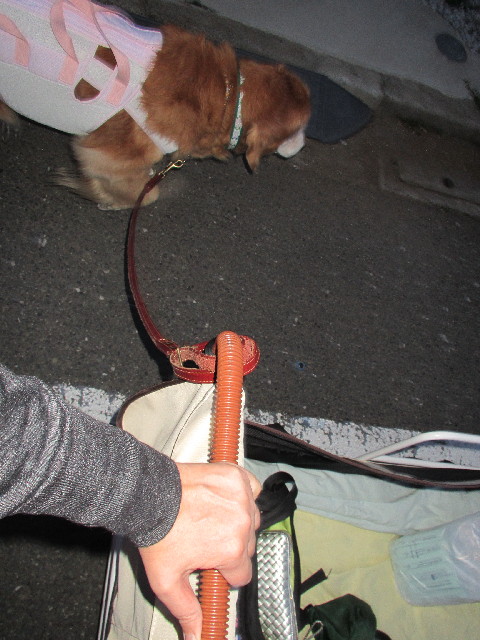 ファイル 2985-5.jpg