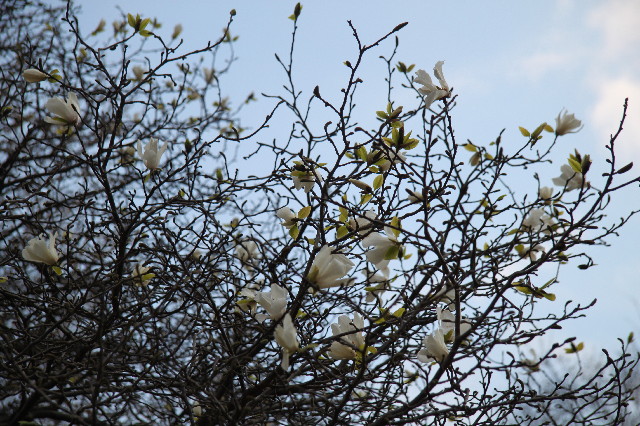 ファイル 2991-3.jpg