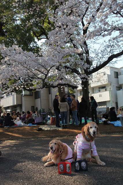 ファイル 2993-1.jpg