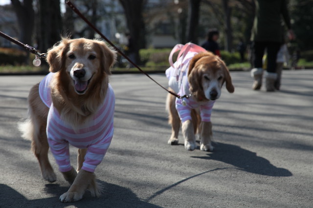 ファイル 2993-2.jpg