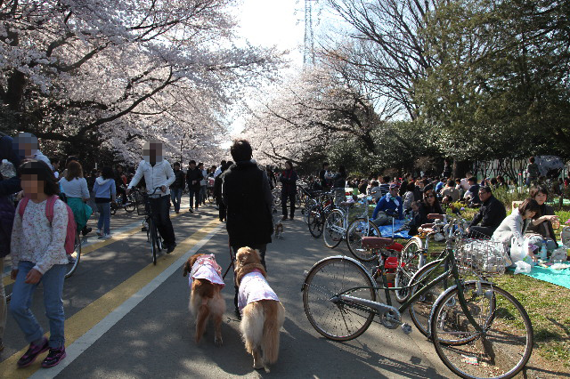 ファイル 2993-4.jpg