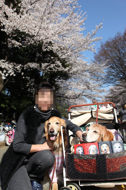 ファイル 2994-5.jpg