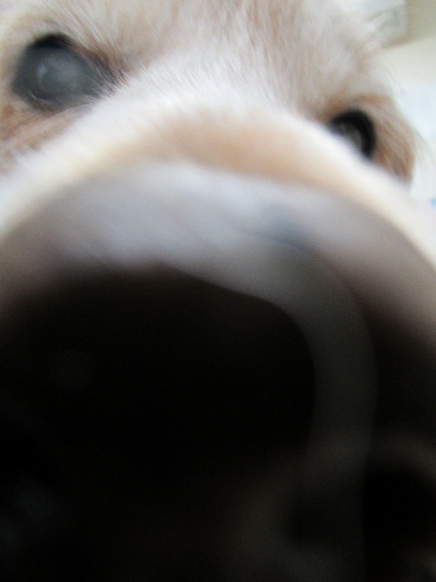 ファイル 2995-4.jpg