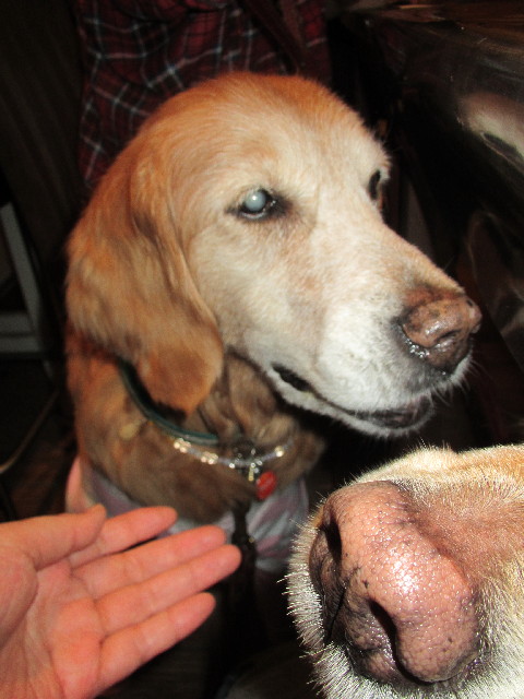 ファイル 2997-3.jpg