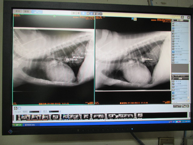 ファイル 2998-4.jpg