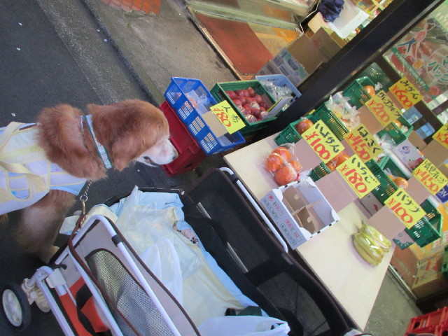 ファイル 2998-5.jpg