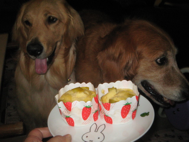 ファイル 300-2.jpg