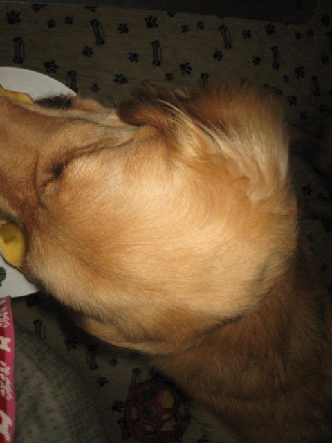 ファイル 300-3.jpg