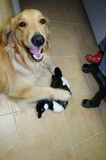 ファイル 300-5.jpg