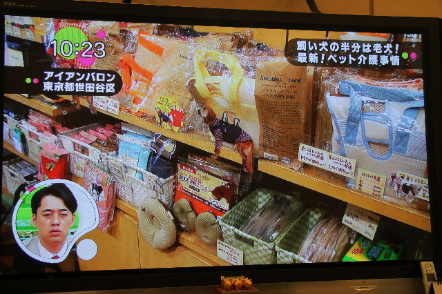 ファイル 3000-2.jpg