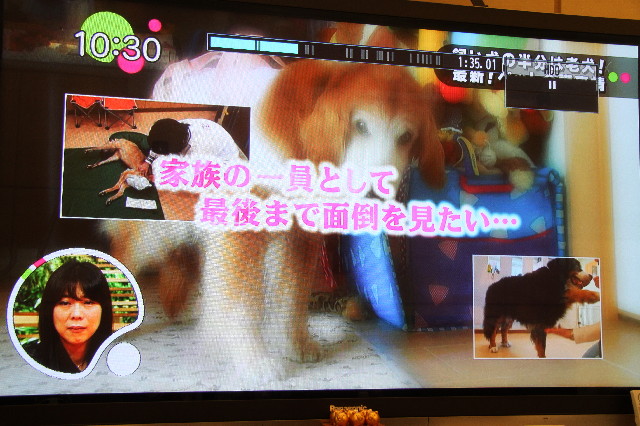 ファイル 3000-4.jpg