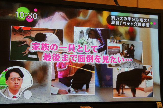 ファイル 3000-5.jpg