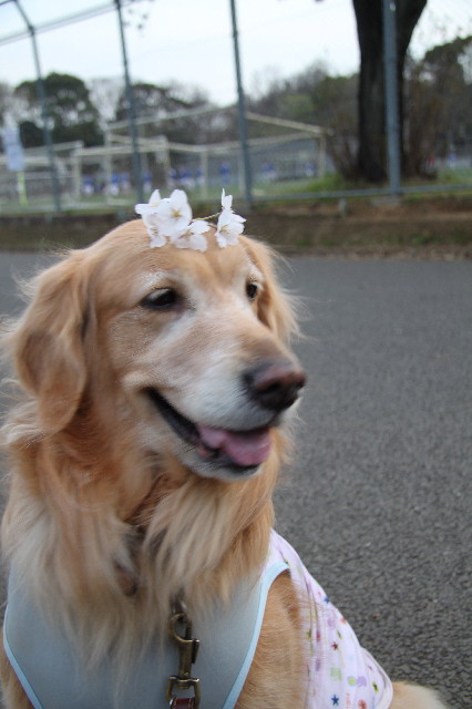 ファイル 3002-5.jpg