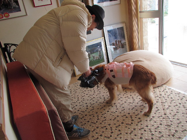 ファイル 3004-3.jpg