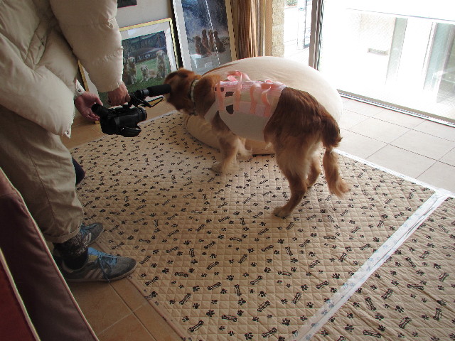 ファイル 3004-4.jpg