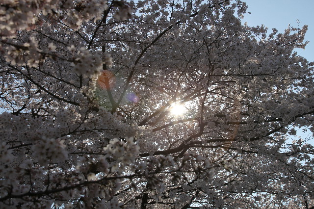 ファイル 3005-5.jpg