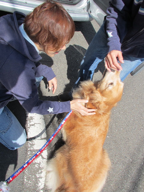 ファイル 3006-1.jpg