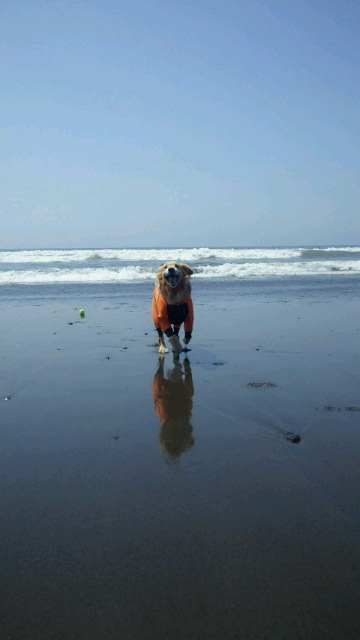 ファイル 3006-2.jpg