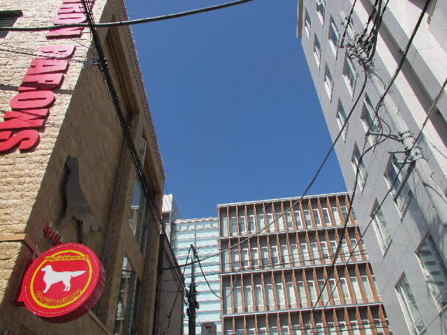 ファイル 3007-1.jpg