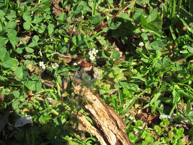 ファイル 3008-3.jpg