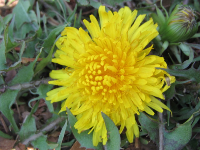 ファイル 3008-5.jpg