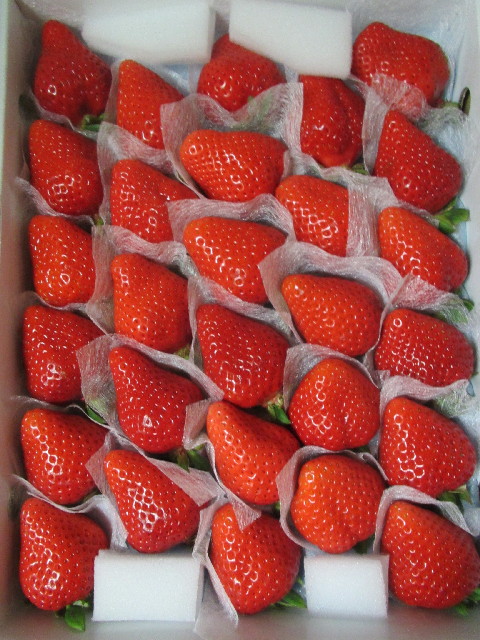 ファイル 3009-1.jpg