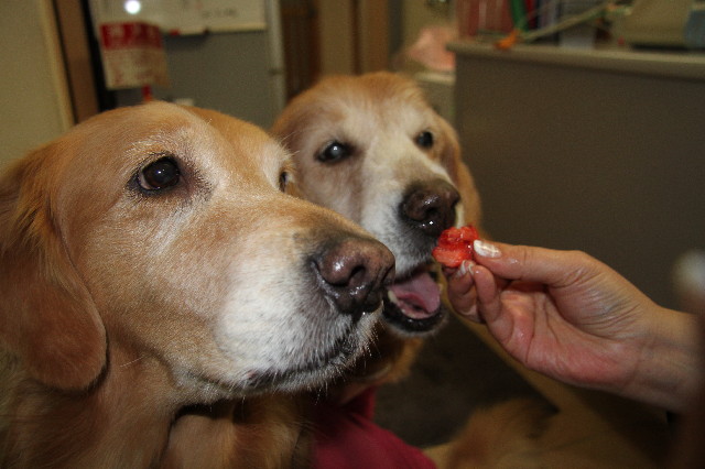 ファイル 3009-2.jpg