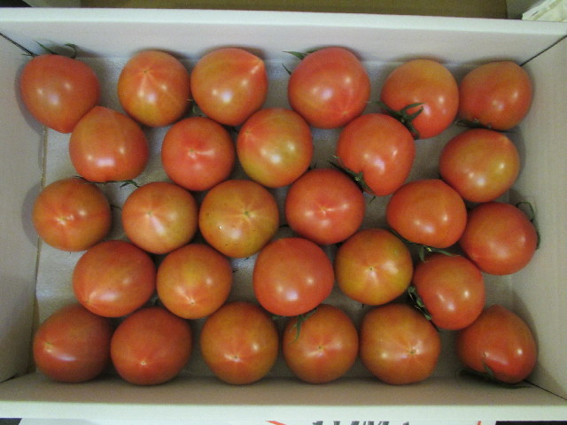 ファイル 3009-4.jpg