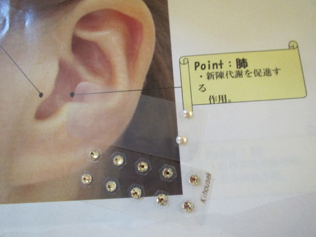 ファイル 3010-1.jpg