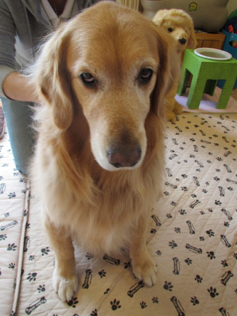 ファイル 3011-1.jpg