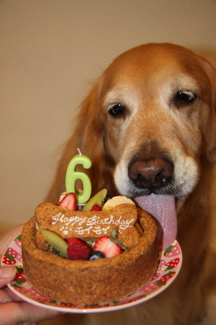 ファイル 3011-2.jpg