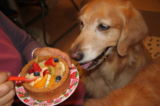 ファイル 3011-4.jpg