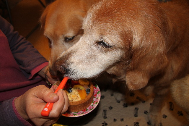 ファイル 3011-5.jpg