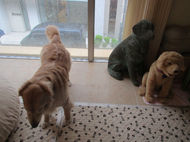 ファイル 3012-4.jpg