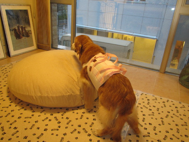 ファイル 3012-5.jpg