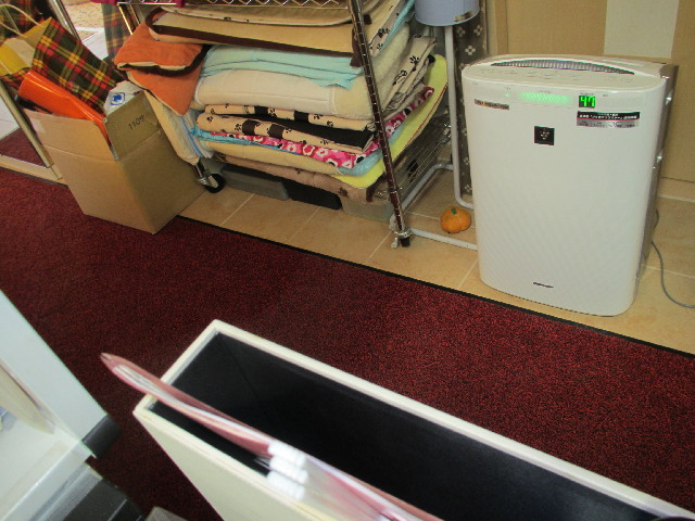 ファイル 3013-1.jpg