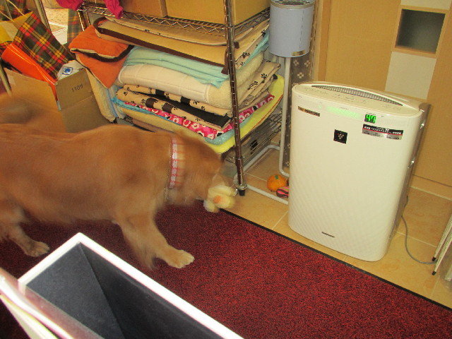 ファイル 3013-3.jpg