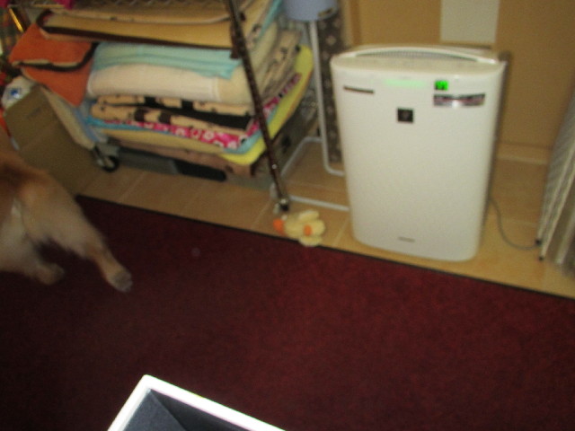 ファイル 3013-4.jpg