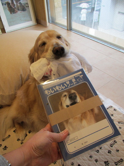 ファイル 3014-1.jpg