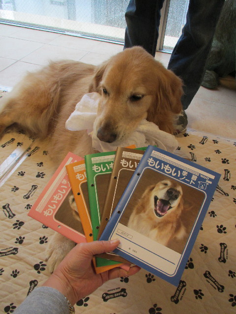 ファイル 3014-2.jpg