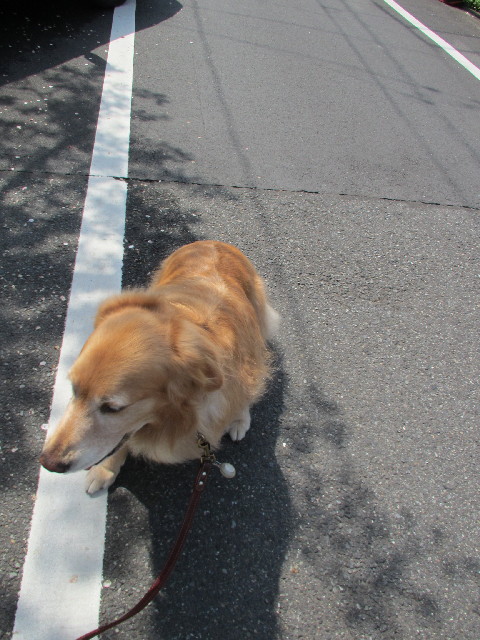 ファイル 3016-5.jpg