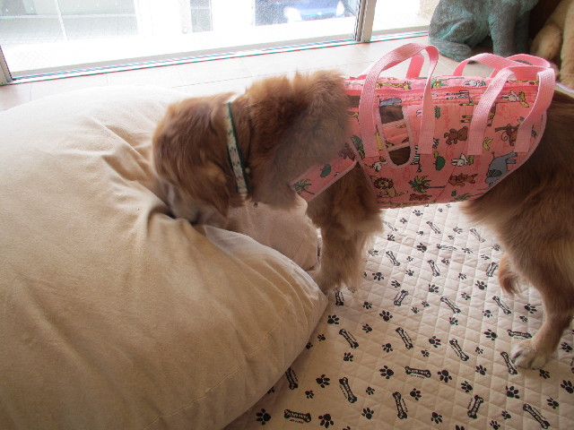 ファイル 3017-1.jpg